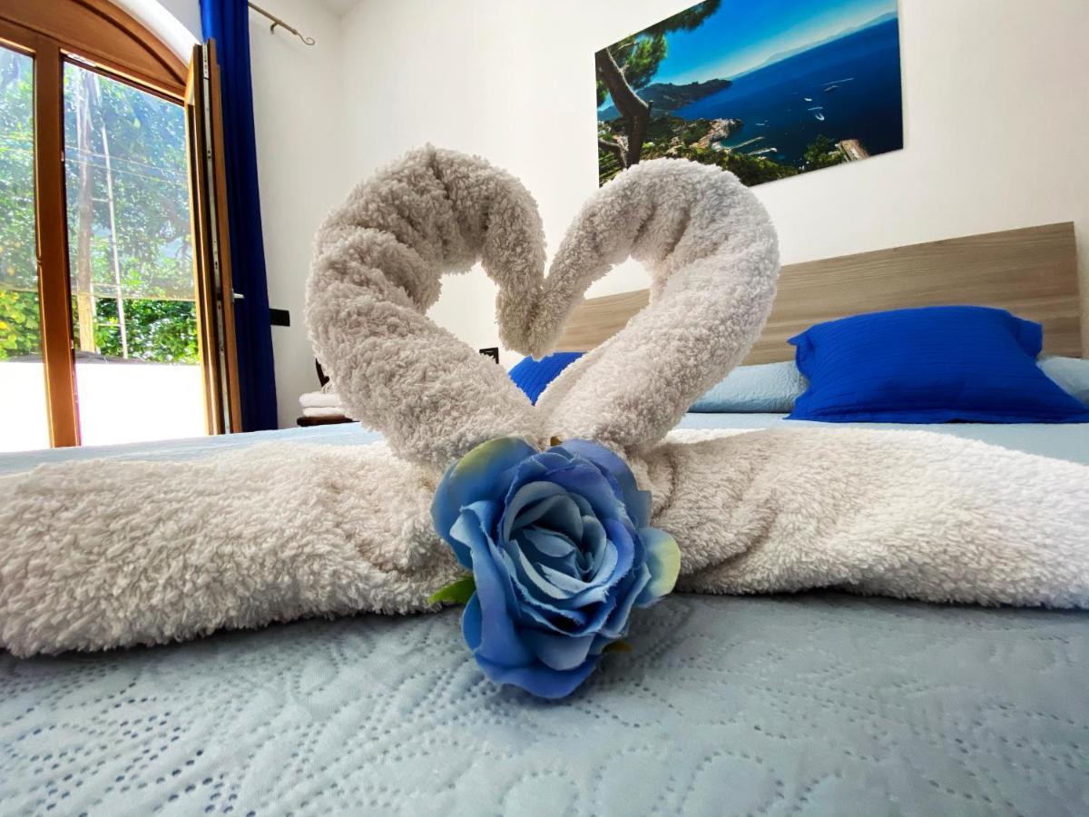 Achille Home B&B Σορέντο Εξωτερικό φωτογραφία